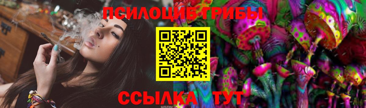 Ярославль  Псилоцибиновые грибы мухоморы  Вход с VPN 